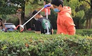 践行劳动教育，共建文明校园