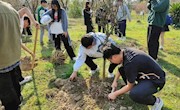 植树节主题活动 | “浇”个朋友！一起去植树吧~